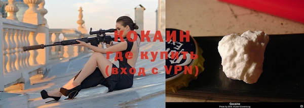 шишки Богородск