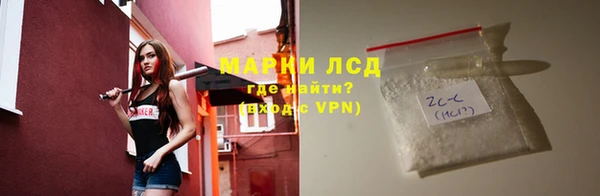 шишки Богородск