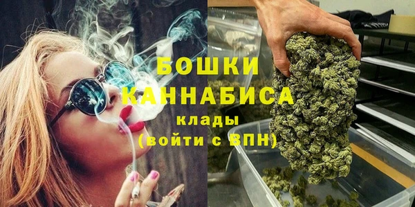 шишки Богородск